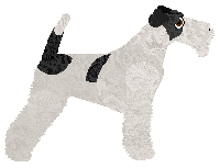 Bearded Force Thundercloud — “Shanti”