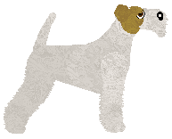 Bearded Force Hurricane — “Foka”