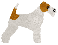 Bearded Force Tornado — “Imbir”