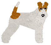 Profile image of Bearded Force Tornado