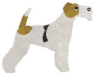 Bearded Force Blizzard — “Diego”