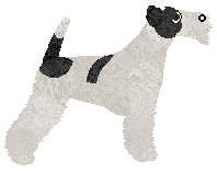 Bearded Force Lightning — “Rain”