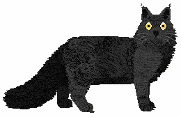 YVKC's Punkin' Pie — “Pumpkin”