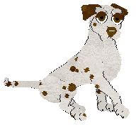 Profile image of SeaGlass's The Starlight Barking of the Opera