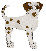 SeaGlass's The Starlight Barking of the Opera — “Perdita X”