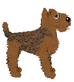 Frogbowl Brotherswater — “Trout”