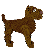 Frogbowl Windermere — “Dove”