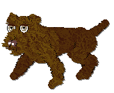 Profile image of Frogbowl Windermere