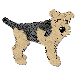 Profile image of Frogbowl Tarn Hows