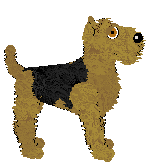 Frogbowl Cogra Moss — “William”