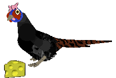 Czeko's The Traitor — “Zdrajca”