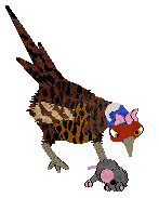 Czeko's The Traitor — “Zdrajca”