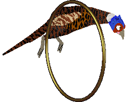 Czeko's The Traitor — “Zdrajca”