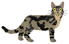 Profile image of Loveshack Ostatnia Pieśń