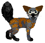 Dumka Muchołapka — “Mucha”