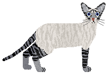 Bespoke's Quality Sheen — “Sheen”