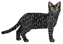 Profile image of Loveshack Krwawa Mary