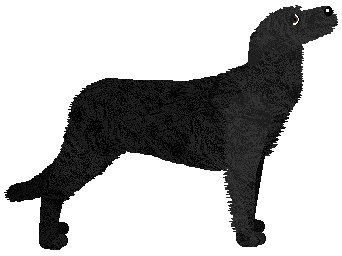 Energizing Miłego Dnia Pani Major — “Majorka”