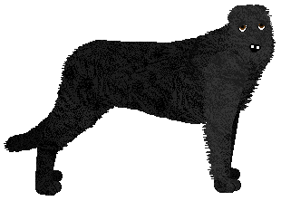 Profile image of Energizing Miłego Dnia Pani Major