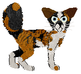 Dumka Samo Spadło — “Wazon”