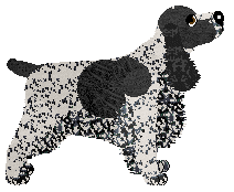 Vybrant at Starshot — “Frankie”