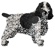 Profile image of Vybrant at Starshot