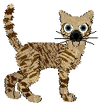 Dumka Zaraza! Ależ wieje — “Zizi”