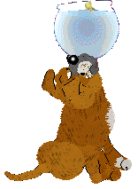 NSP Snap Test @ Mockingbird — “Clam”