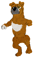 NSP Snap Test @ Mockingbird — “Clam”