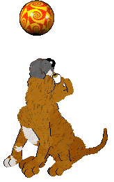 NSP Snap Test @ Mockingbird — “Clam”