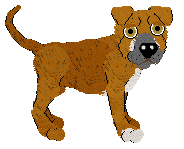 Profile image of NSP Snap Test @ Mockingbird