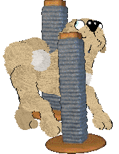 NSP Go Go Dance @ Mockingbird — “Clumsy”