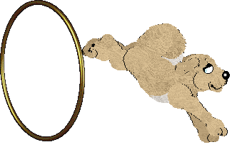 NSP Go Go Dance @ Mockingbird — “Clumsy”