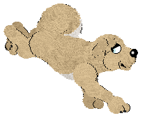 Profile image of NSP Go Go Dance @ Mockingbird