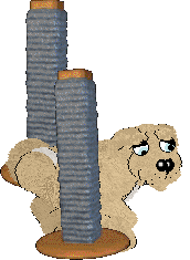 NSP Go Go Dance @ Mockingbird — “Clumsy”