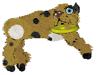 NSP Play Ball @ Mockingbird — “Zealous”