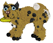 NSP Play Ball @ Mockingbird — “Zealous”