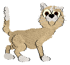 Profile image of Vanillabel's Midnight Milkshake