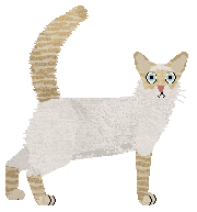 Bespoke's the Limit Does Not Exist — “Limitless”