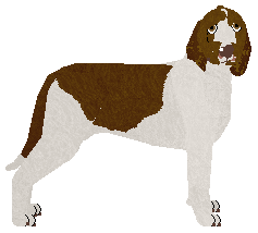 Profile image of Dragosani GRZYBKI HALUCYNKI