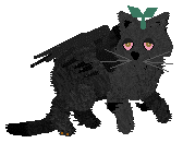 Profile image of SeaGlass's Aftermidnight Tea