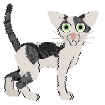 Cargo's Honk If You Love Oriental Shorthairs — “Teddy”