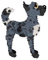 Alohomora's Better Get Grounded at Medusa — “Ground”