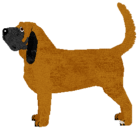 Lapis Two-Faced Guardian — “Ianus”