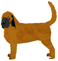 Profile image of Lapis Two-Faced Guardian