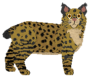 Fire/Sakura's Golden Fleece — “Argo”