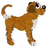 FDL's Wild Chanterelle at SzK — “Chanterelle”