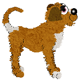 FDL's Wild Chanterelle at SzK — “Chanterelle”