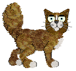 Chachke's Juice In My Eye — “Grouper”