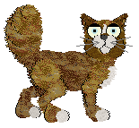 Chachke's Juice In My Eye — “Grouper”